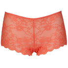 After Eden Daisy hipster trusse, orange - 10.37.7008 - 047 - Silken Coral